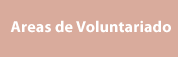 Areas Voluntariado